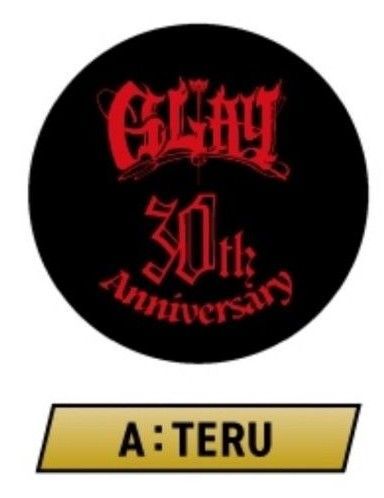 【TERU】GLAY 30th Anniversary ZURAフェイスクッション~GiGO限定~