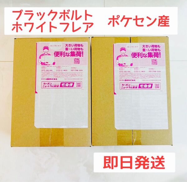 ポケモンカード ホワイトフレア ブラックボルト シュリンク付き 各1BOX ポケセン産 未開封
