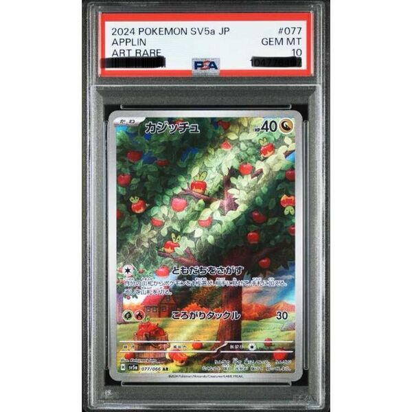 カジッチュ AR PSA10