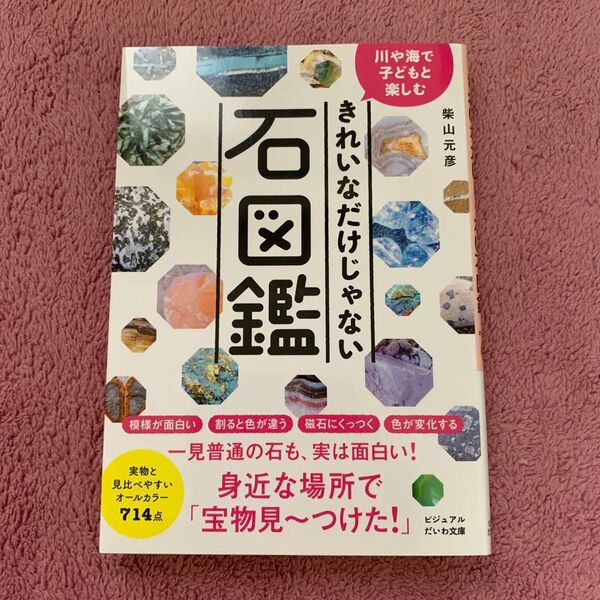 ● きれいなだけじゃない石図鑑 川や海で子どもと楽しむ (ビジュアルだいわ文庫 036J) 柴山元彦/著