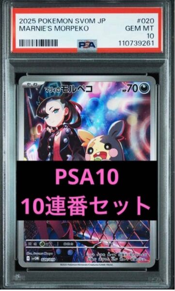 10連番 マリィのモルペコ AR PSA10 プロモ ポケモンカード