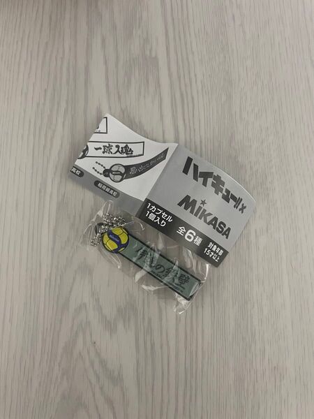 ハイキュー × MIKASA 横断幕&V200W 国際大会公式試合球