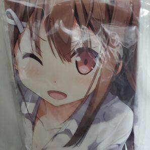 恋する彼女の不器用な舞台 描き下ろしタペストリー 未開封