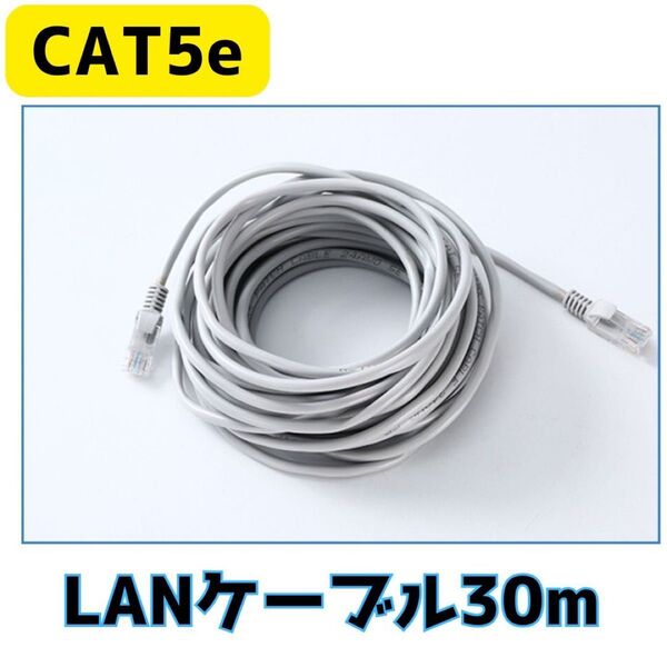 LANケーブル 灰色 30M RJ-45 8芯 Cat5 最大100Mbps ゲーム PC Wi-Fi wifi 30m グレー