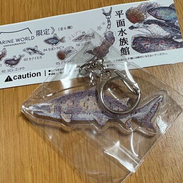 平面水族館 マリンワールド限定 レア シロワニ ガチャ キーホルダー サメ