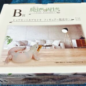 一番くじ 爬虫類両生類 B賞 ヒョウモントカゲモドキ フィギュア~脱皮中~