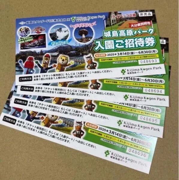 城島高原パーク 入園ご招待券 4枚セット