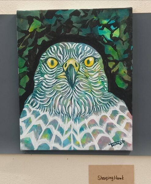 原画 『 shaping Hawk 』アクリル水彩画 絵画 アート イラスト インテリア 鳥 猛禽類