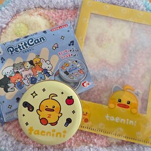 ZEROBASEONE zeroni プチキャン ビジュアルクリアファイル テニニ 2点セット