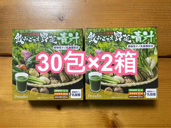 飲みごたえ野菜青汁