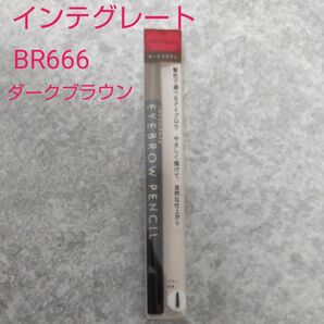 【新品未使用】インテグレート アイブローペンシル N 0.17g (BR666 ダークブラウン)アイブロウ INTEGRATE