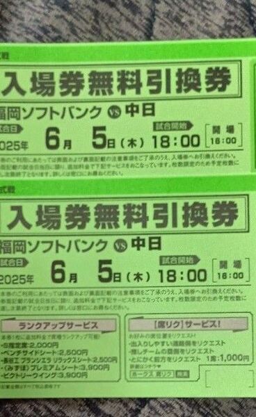 6月5日 ソフトバンクホークスVS中日 入場券引換券 ペアチケット