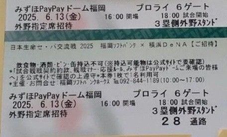 6/13 ソフトバンクホークスVSベイスターズ 3塁側外野席チケット 連番