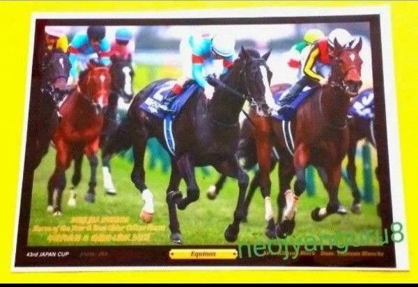 イクイノックス*年度代表馬*デジフォト*天皇賞秋*ジャパンカップ*有馬記念*宝塚記念*JRA*東京競馬場*中山競馬場*阪神競馬場