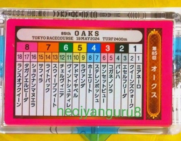 2024年*オークス*優駿牝馬*想い出 馬券ホルダー*東京競馬場*思い出*チェルヴィニア*ステレンボッシュ*ライトバック*JRA