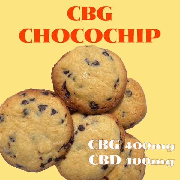 CBGクッキー CBG400mg+CBD100 発酵バターチョコチップ【まとめ買いで割引有】