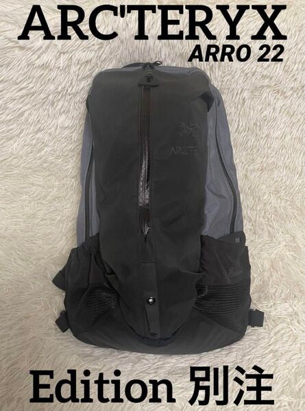 アークテリクス Edition エディション 別注 アロー 22 バックパック リュック