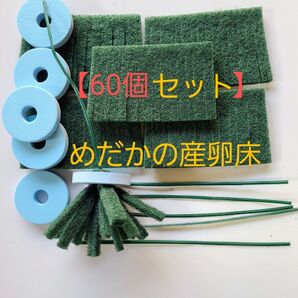 【60個セット】めだかの産卵床 60個 七屋オリジナル【メダカ トリーナ 水草 浮草 めだかの卵 有精卵】