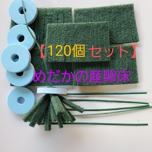 【120個セット】めだかの産卵床 120個 七屋オリジナル【メダカ トリーナ 水草 浮草 めだかの卵 有精卵】
