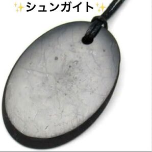 シュンガイト ペンダント ハイレベルの浄化 パワーストーン 天然石 ネックレス アクセサリー