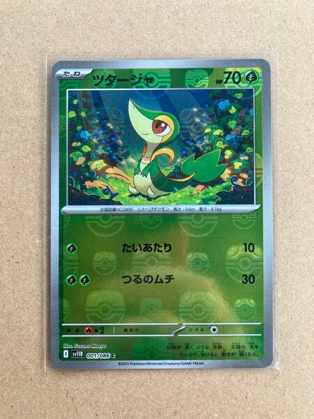 ツタージャ マスターボールミラー ポケモンカード ブラックボルト ホワイトフレア