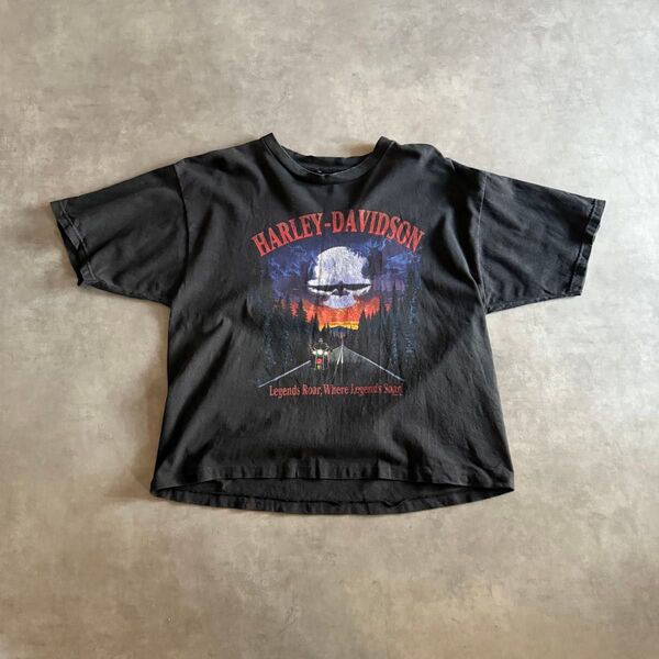 00's ハーレーダビッドソン スカルTシャツ バルチモア 半袖 Tシャツ 古着
