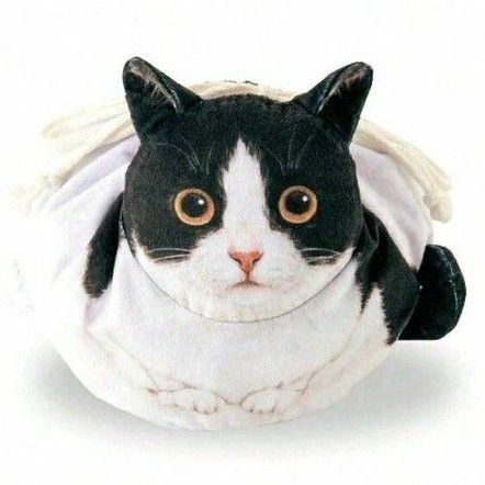 猫 香箱座り 巾着 ポーチ ネコ 白 黒