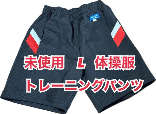 未使用 L 体操服 体操着 トレーニングパンツ ショートパンツ クォーターパンツ 黒
