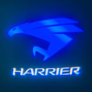 新型 ハリアー 80系 harrier カーテシランプ【Z54a】