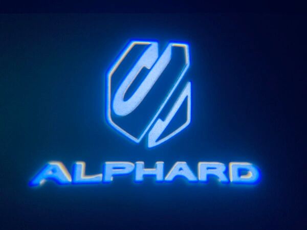 アルファード alphard 40系 カーテシランプ【Z204】