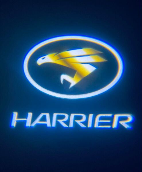 ハリアー HARRAER 30系 60系 カーテシランプ【Z47】