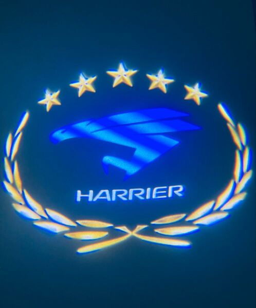ハリアー harrier 30系 60系 カーテシランプ【Z51】