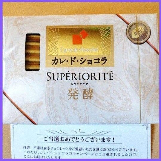 森永製菓 カレ・ド・ショコラ スペリオリテ 発酵SUPERIORIT 86g スペリオリテ 発酵賞味期限2026/01 非売品