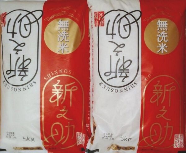 無洗米 5kg×2袋 10kg 令和6年産 新潟県産 ブランド米 新之助 4月精米 白米 新米