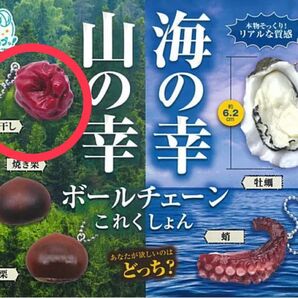 海の幸山の幸ボールチェーンこれくしょん ガチャ梅干し未開封②