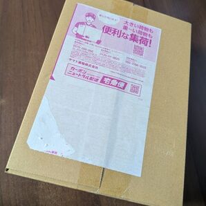 ポケモンカードゲーム スカーレット&バイオレットハイクラスパック テラスタルフェスex BOX
