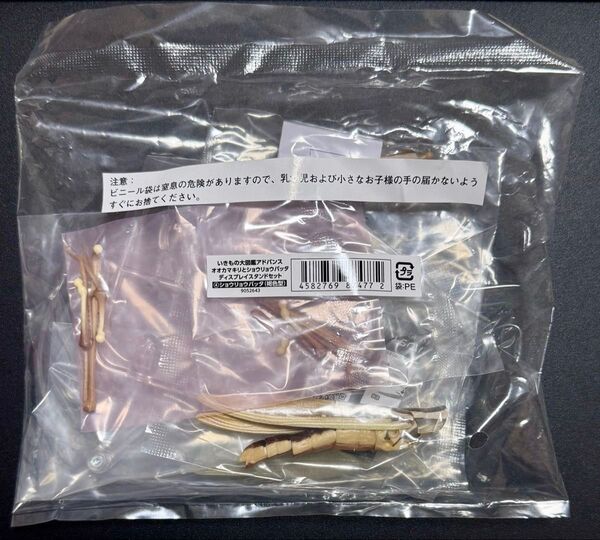【いきもの大図鑑 アドバンス オオカマキリとショウリョウバッタ ディスプレイスタンドセット】ショウリョウバッタ(褐色型)