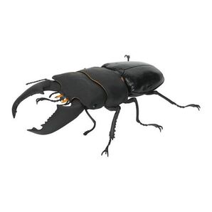 【いきもの大図鑑 くわがた10】スマトラオオヒラタクワガタ(内歯下がり)カプセル版