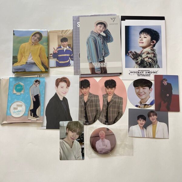 SEVENTEEN WOOZI ウジ LEE JIHOON 缶バッジ アクスタ トレカ ポストカード フォトバインダー