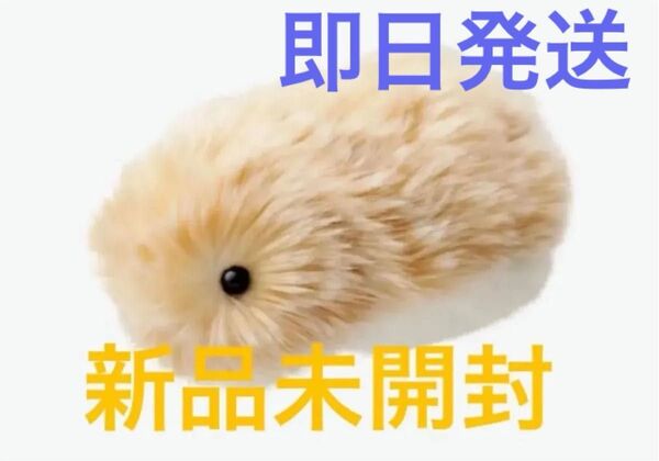 即日発送★新品未使用 モフリン AIペット CASIO カシオ ゴールド Moflin PE-M10GD 新品未開封