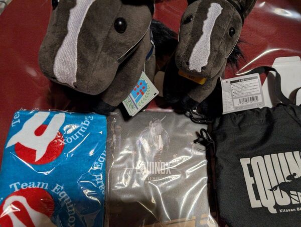 〇【非売品】イクイノックスグッズセット。