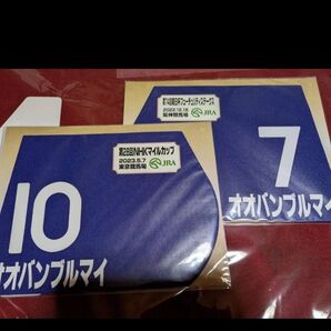 〇【期間限定販売】ミニゼッケン、オオバンブルマイ