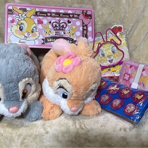 ディズニー ミスバニー&とんすけ ぬいぐるみ フォトフレーム 写真立て 色々 まとめ売り