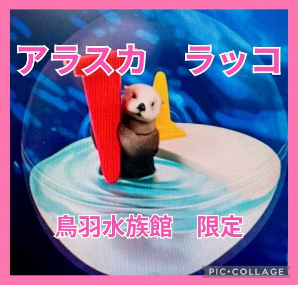 【未開封】鳥羽水族館 限定 アラスカラッコ カプリウムコレクション ガチャ ラッコ メイ キラ