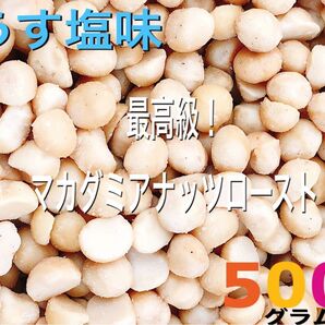 マカダミアナッツローストうす塩味 500g検索/ミックスナッツ おつまみ
