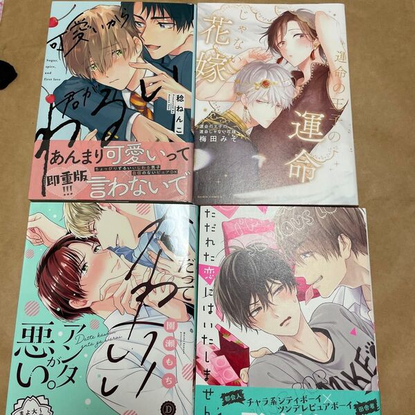 BL コミック 4冊セット 梅田みそ 稔ねんこ 園瀬もち らくたしょうこ