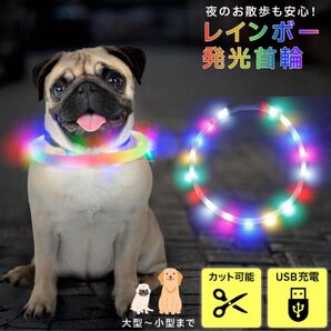 光る首輪 lLEDライト 小型犬