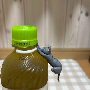 せや! ねこちゃんに輪っかあげたろ! ボトルネックのねこたち ガチャ サバトラ ガチャガチャ 猫 ネコ