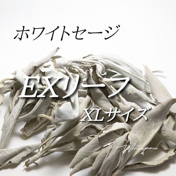 ホワイトセージ EXリーフXLサイズ30g/カリフォルニア産/浄化 スマッジング