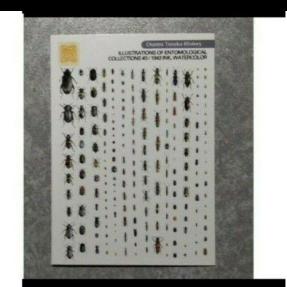 手塚治虫 コレクションカード トレカ 87 昆虫手帳 トレーディングカード